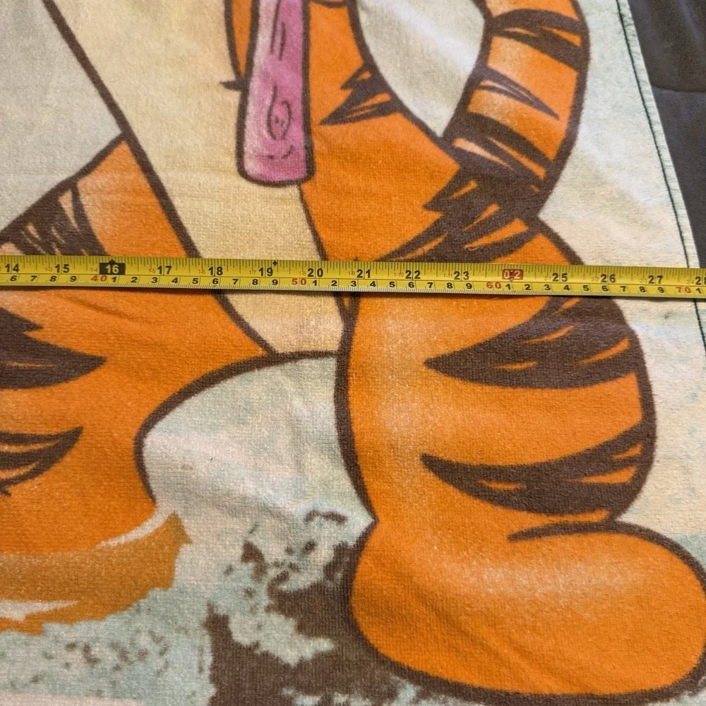 Disney measurements are